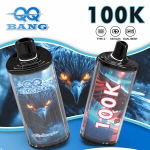 QQ Bang 100K Disposable Vape – 100,000 Puffs | Independent Flavor Chamber | Long-Lasting Rechargeable Device